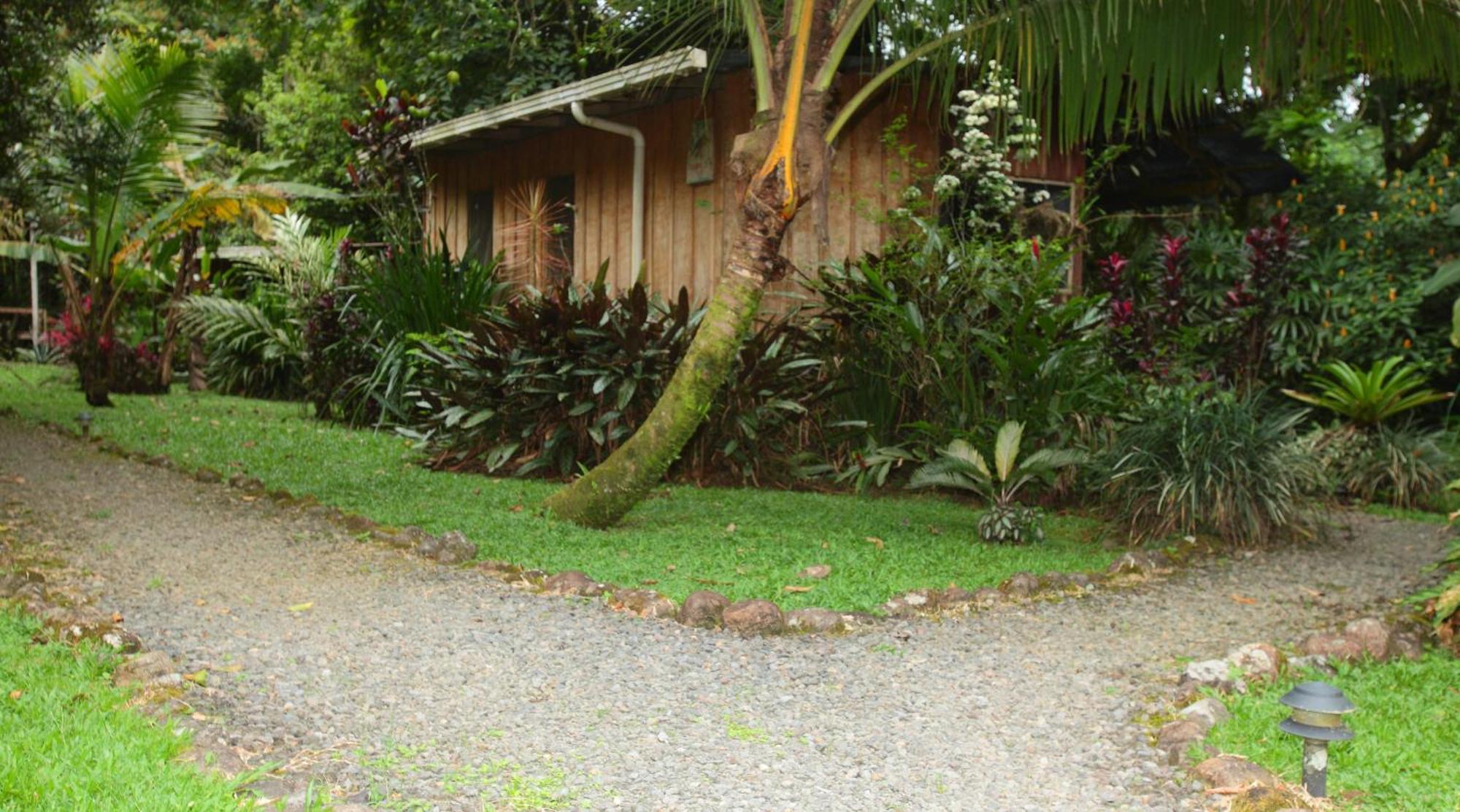 卡萨里奥布兰科生态住宿加早餐旅馆 Guápiles 外观 照片