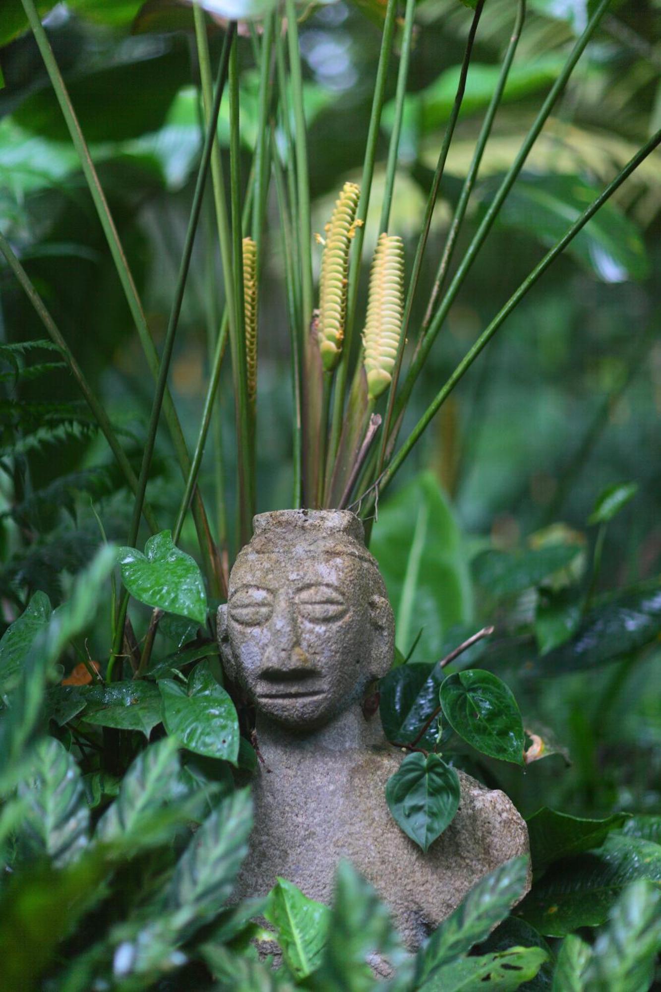 卡萨里奥布兰科生态住宿加早餐旅馆 Guápiles 外观 照片