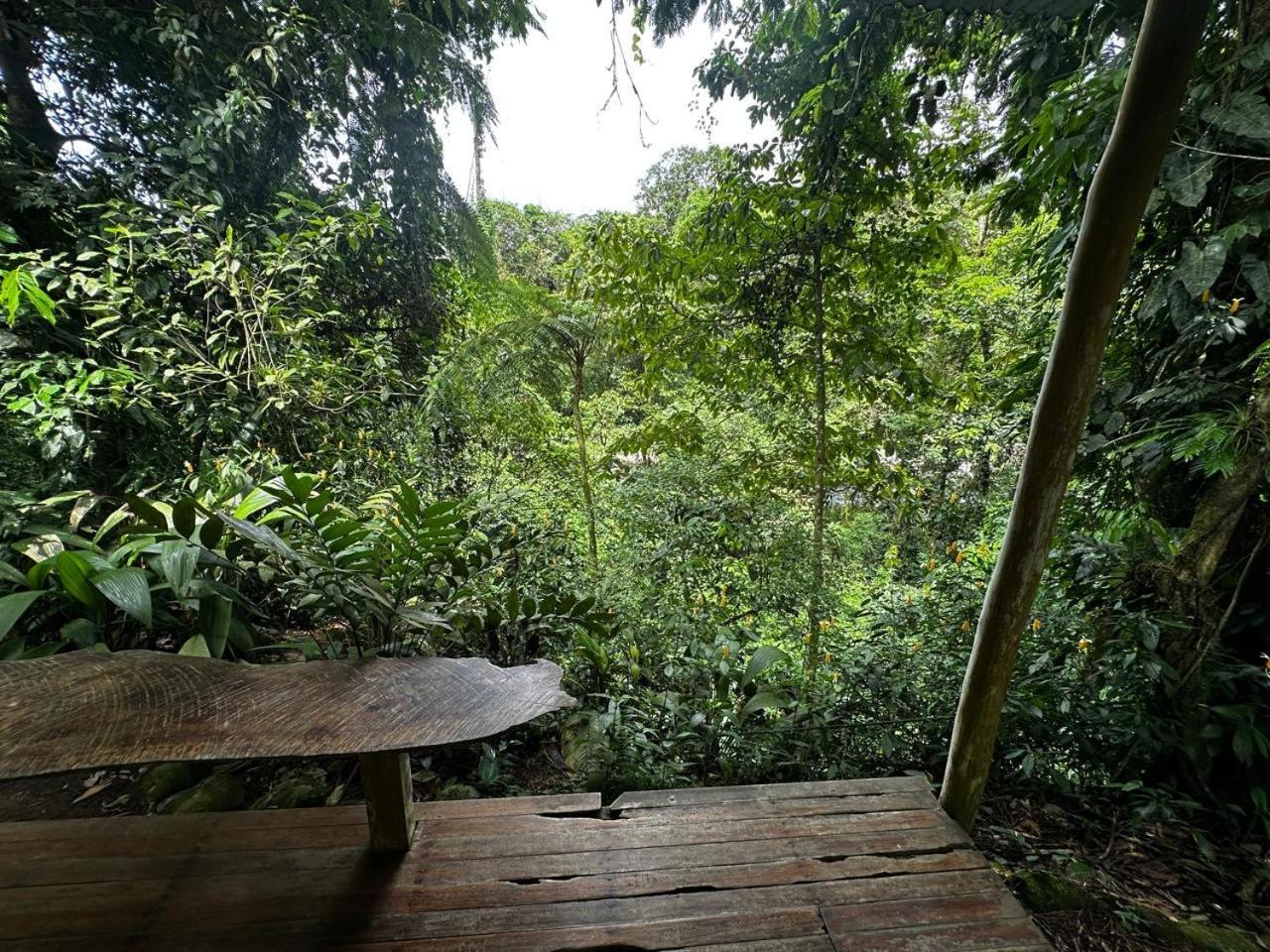 卡萨里奥布兰科生态住宿加早餐旅馆 Guápiles 外观 照片
