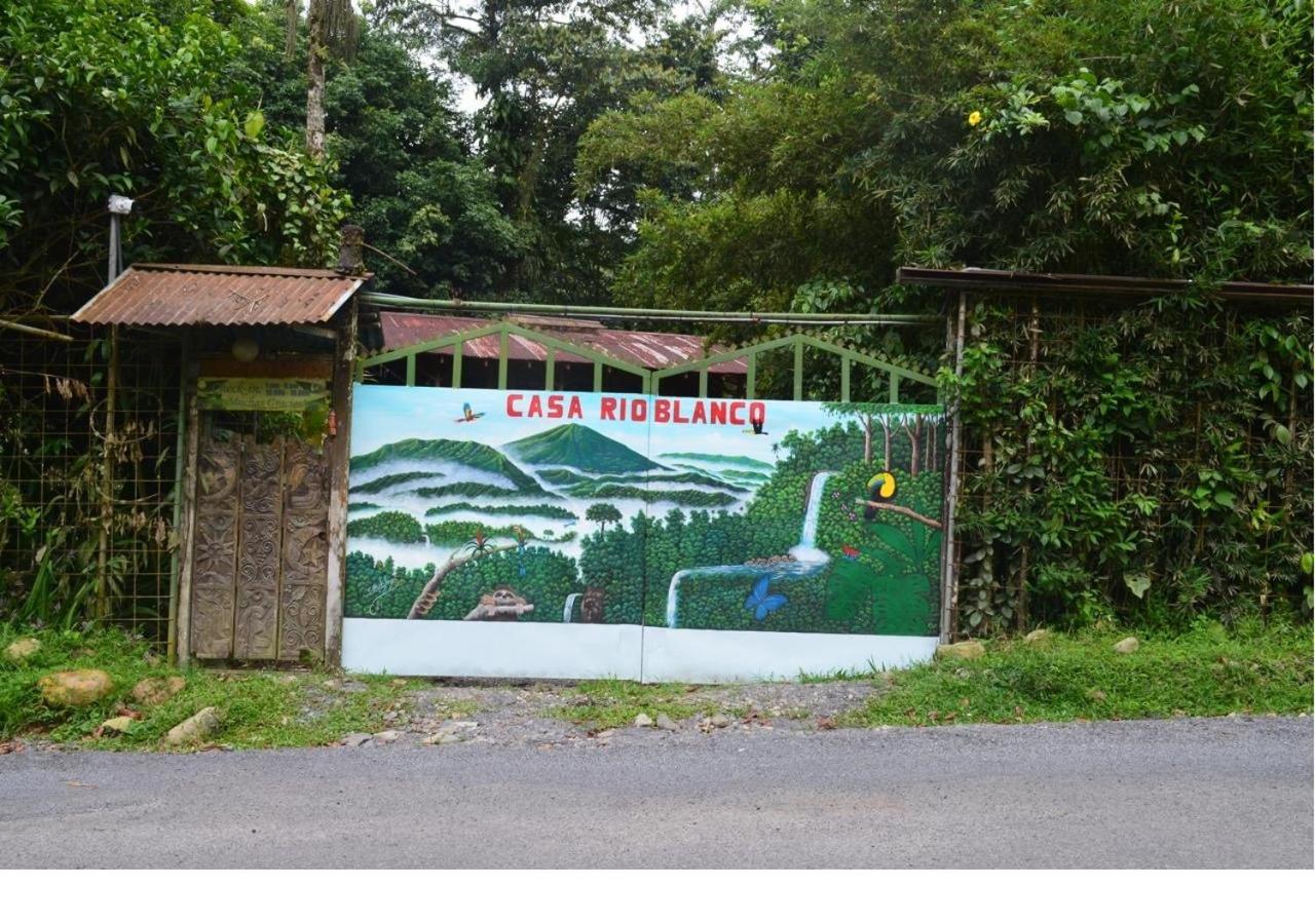 卡萨里奥布兰科生态住宿加早餐旅馆 Guápiles 外观 照片