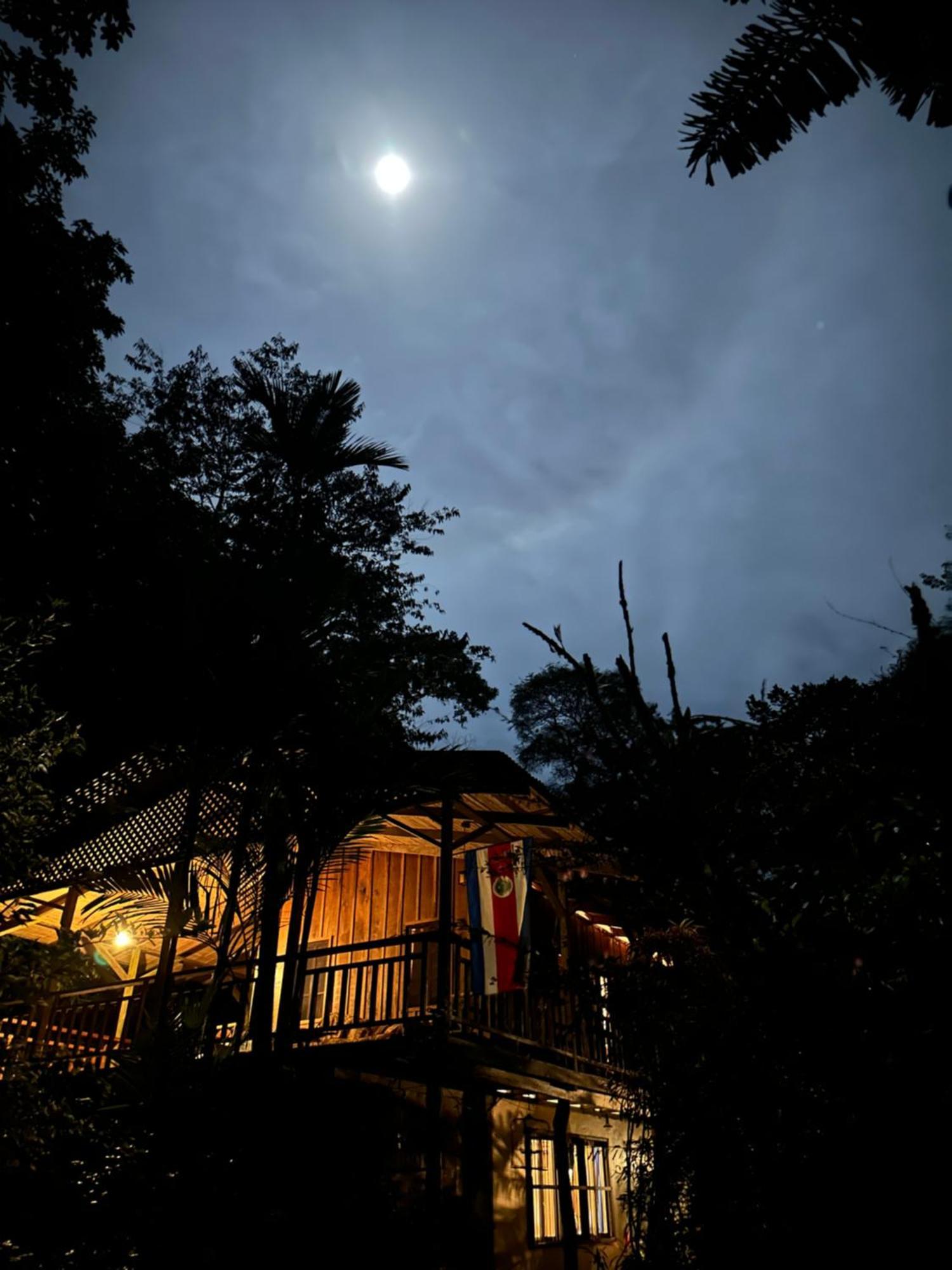 卡萨里奥布兰科生态住宿加早餐旅馆 Guápiles 外观 照片