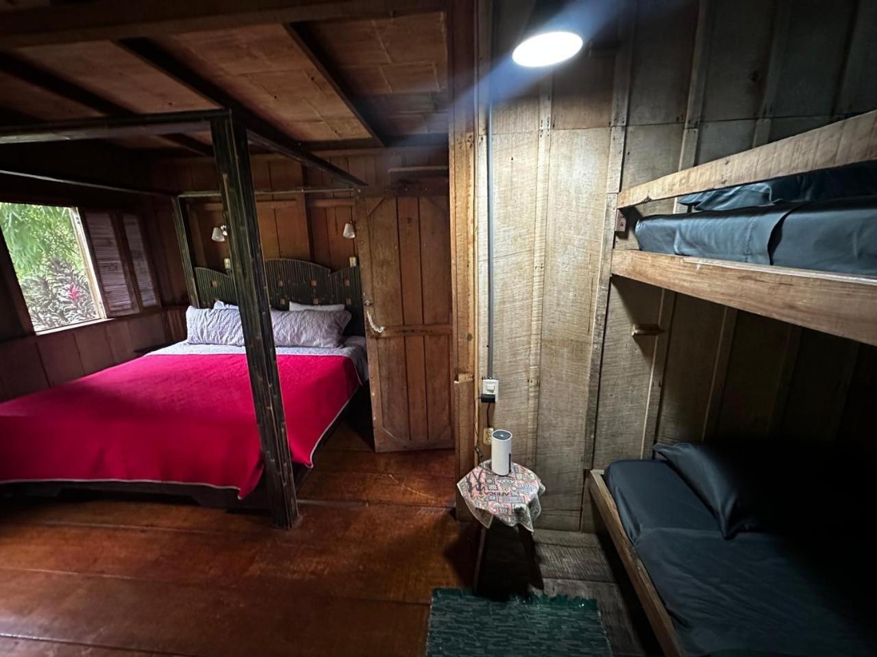卡萨里奥布兰科生态住宿加早餐旅馆 Guápiles 外观 照片