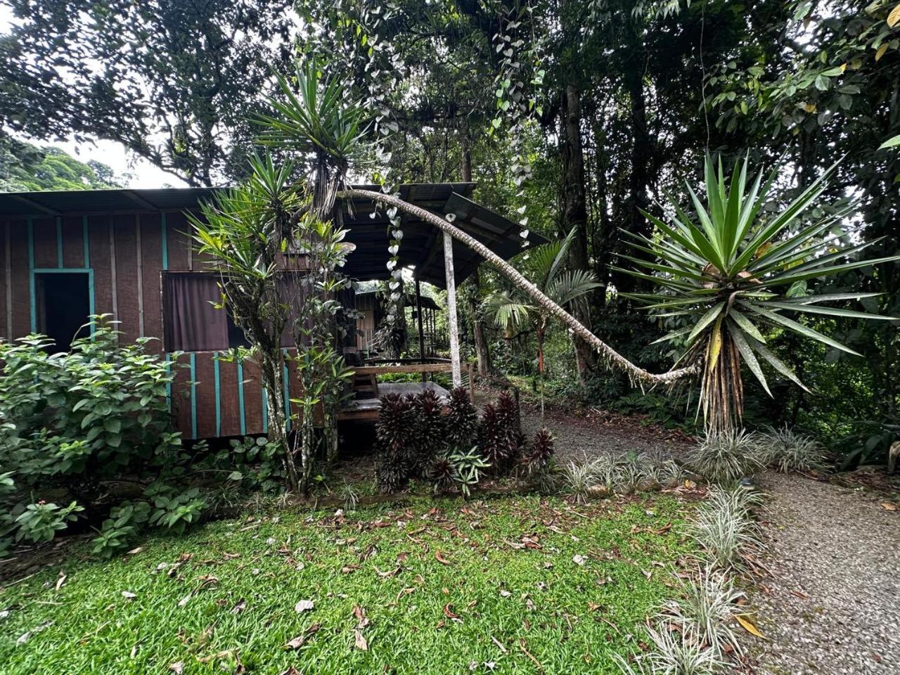 卡萨里奥布兰科生态住宿加早餐旅馆 Guápiles 外观 照片