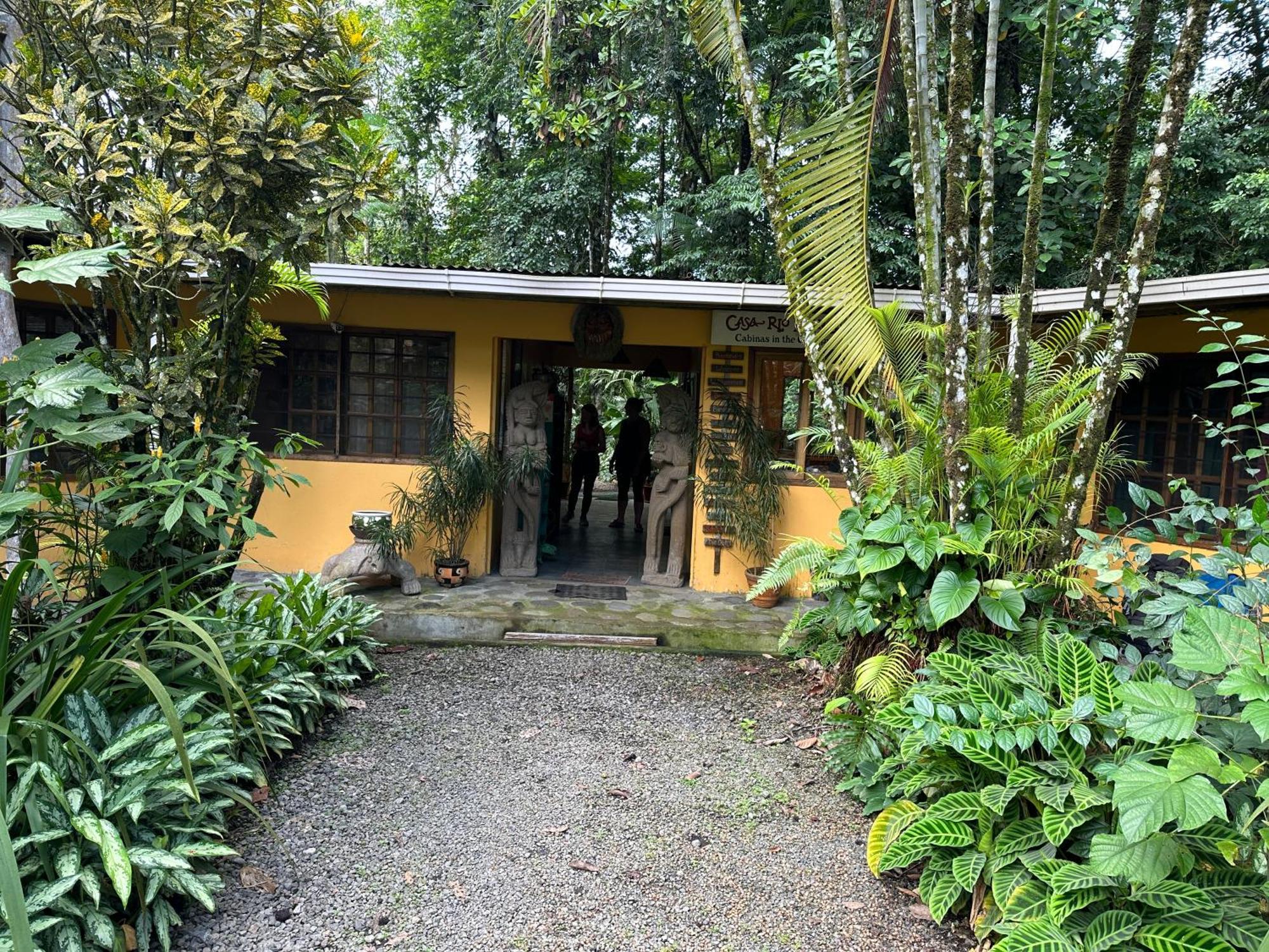 卡萨里奥布兰科生态住宿加早餐旅馆 Guápiles 外观 照片