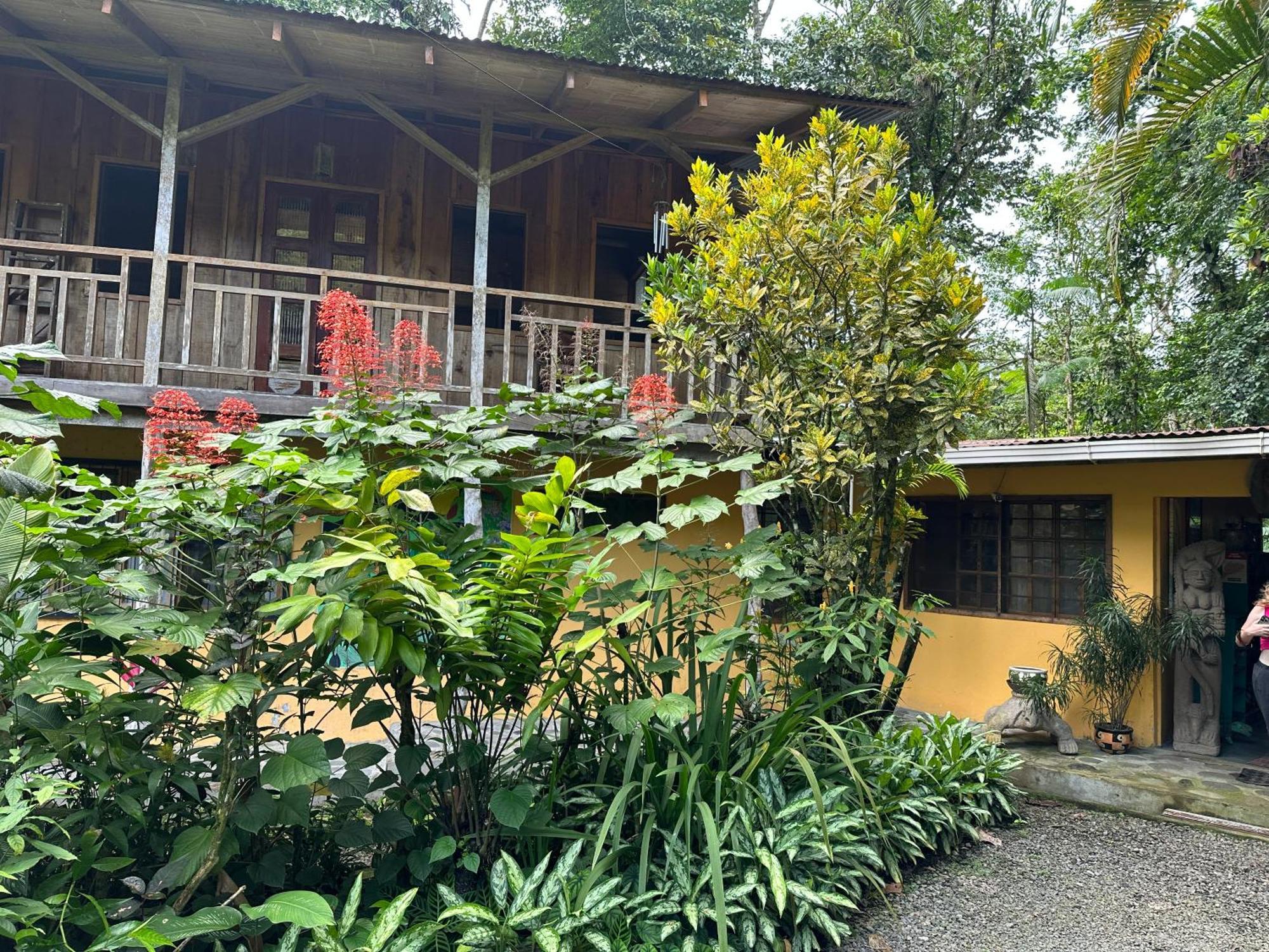 卡萨里奥布兰科生态住宿加早餐旅馆 Guápiles 外观 照片
